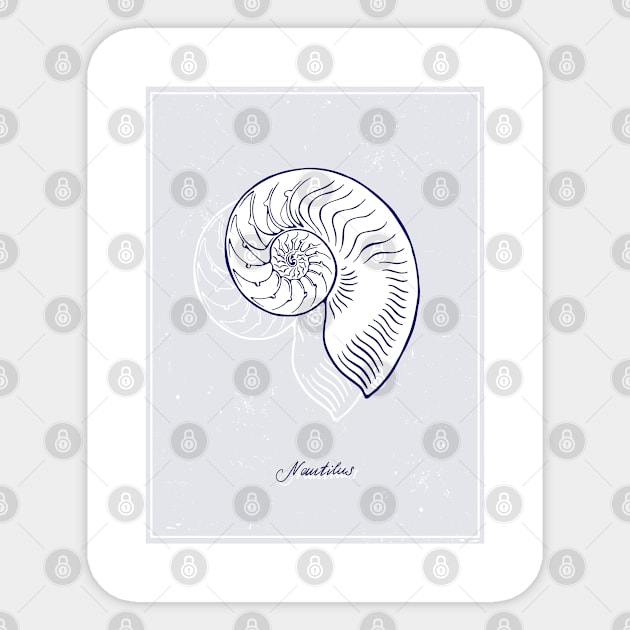 Blue Nautilus Tiger Shell. Realistic sea life drawings. Sticker by ArchiTania